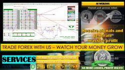 Trade forex with us money grow 31 days investment