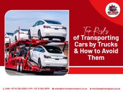 Reliable Furniture Transport That Respects Your Time and Budget