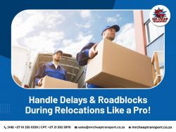 Reliable Professional Movers for Stress-Free Relocation