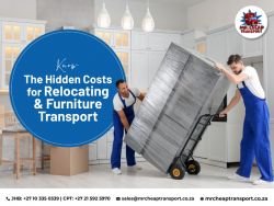 Johannesburg to Cape Town Made Easy