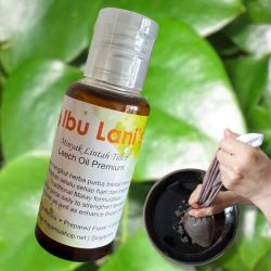 PERMANENT IBU LANI LEECH HERBAL MALE ENLARGEMENT OIL +27799196969 UAE